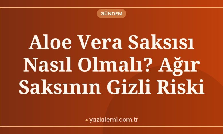 Aloe Vera Saksısı Nasıl Olmalı? Ağır Saksının Gizli Riski