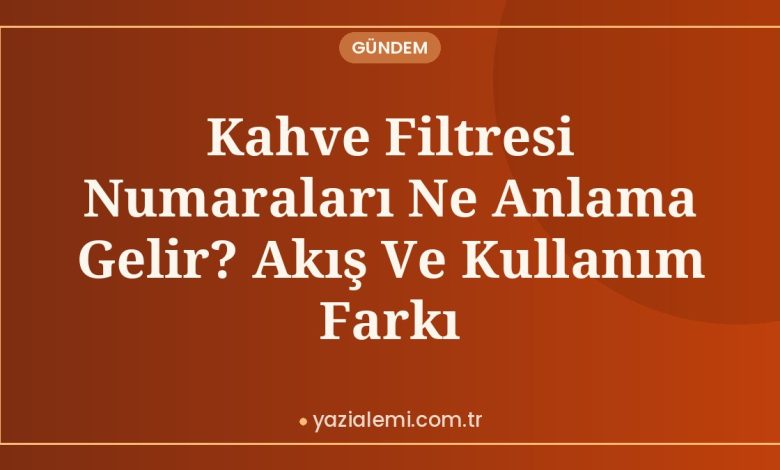 Kahve Filtresi Numaraları Ne Anlama Gelir? Akış Ve Kullanım Farkı