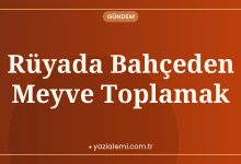 Rüyada Bahçeden Meyve Toplamak