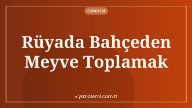 Rüyada Bahçeden Meyve Toplamak